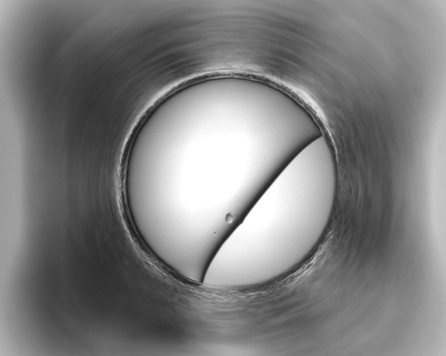 X0000096430895200801241021