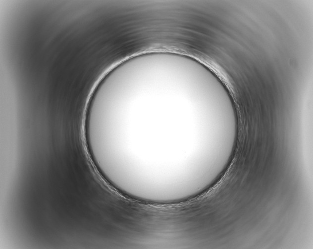 X0000096430896200801241021