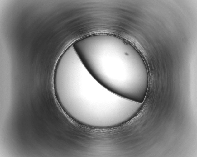 X0000096430898200801241021