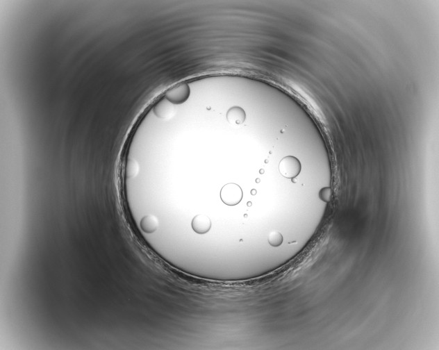 X0000096430899200801241021
