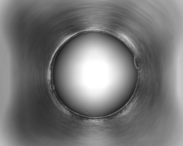 X0000096430900200801241021