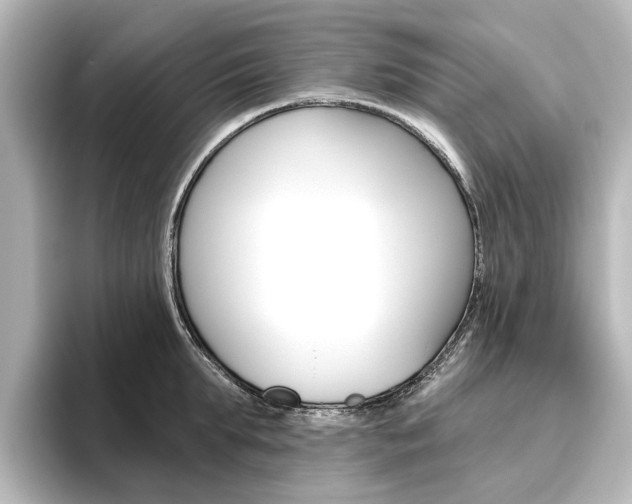 X0000096430903200801241021