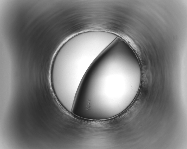 X0000096430904200801241021