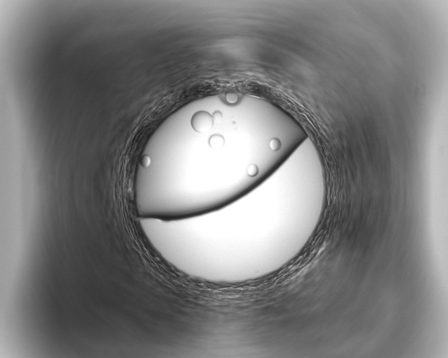 X0000096430913200801241020
