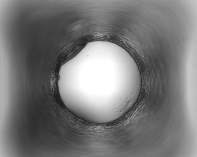 X0000096430914200801241020