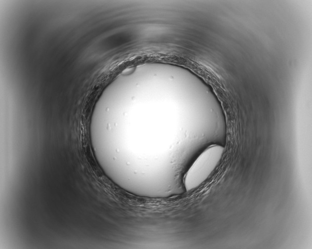X0000096430917200801241020