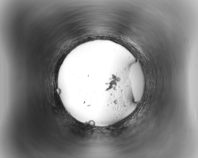 X0000096430918200801241020