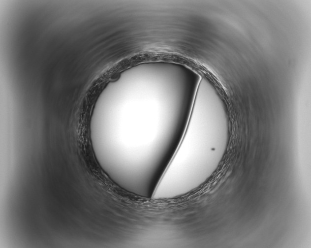 X0000096430919200801241020