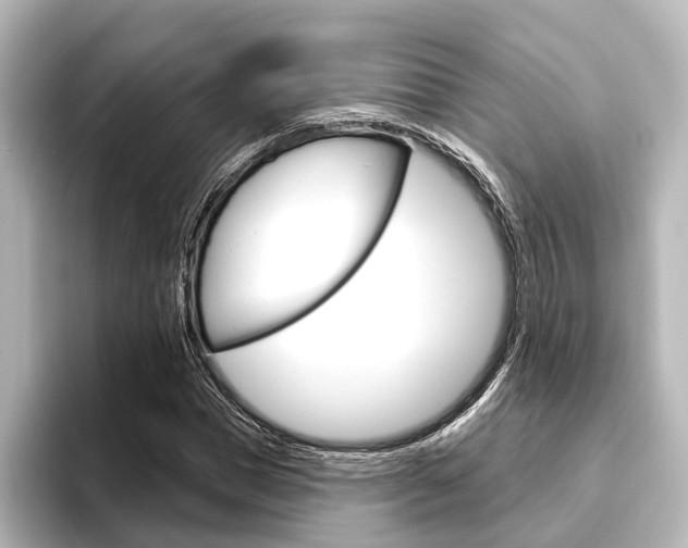 X0000096430921200801241020
