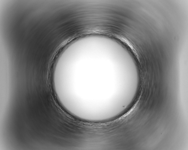 X0000096430922200801241020