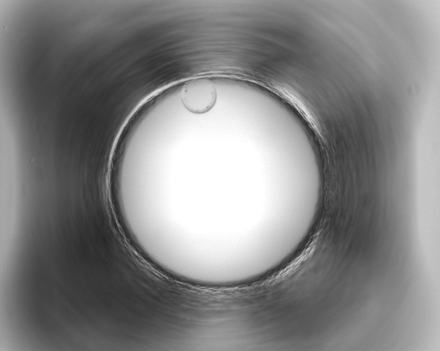 X0000096430924200801241020