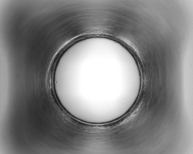 X0000096430925200801241020