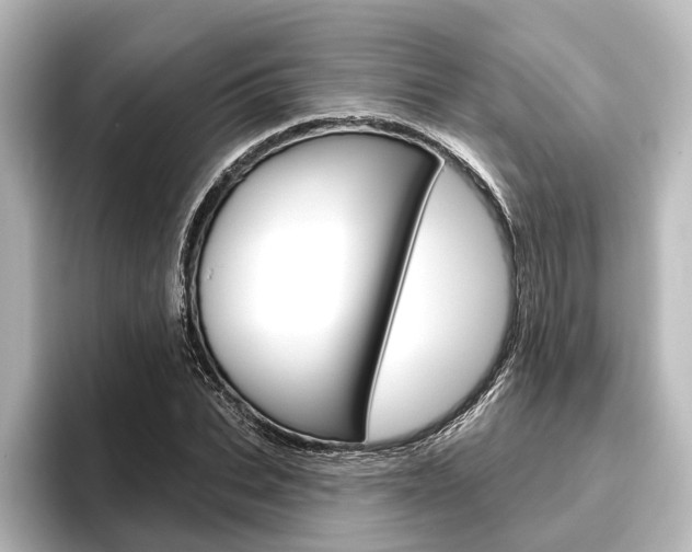 X0000096430927200801241020