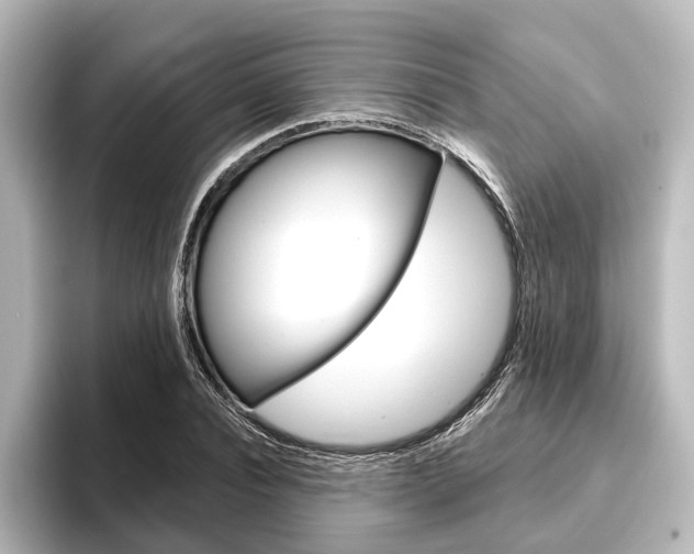X0000096430928200801241020