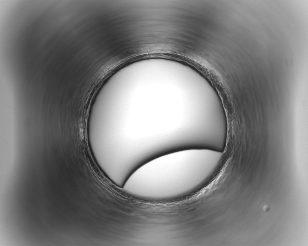 X0000096430929200801241021