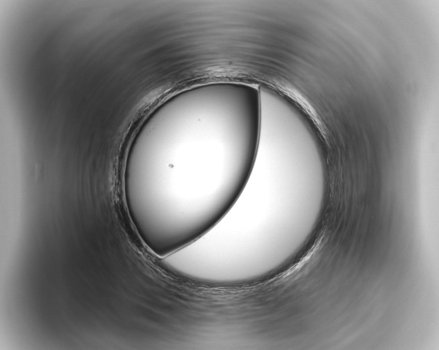 X0000096430930200801241021