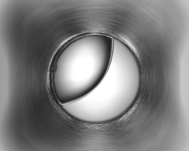 X0000096430932200801241021