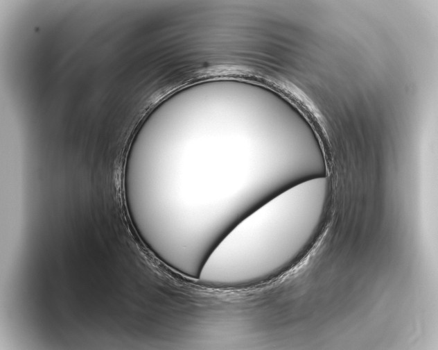 X0000096430937200801241021