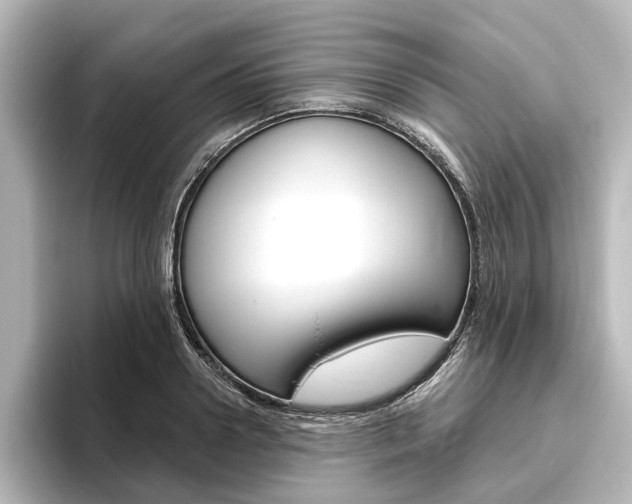 X0000096430938200801241021