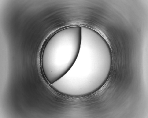 X0000096430939200801241021