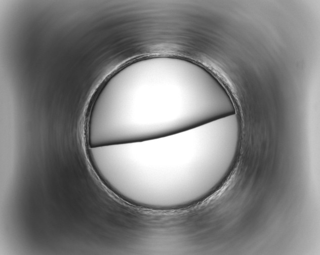 X0000096430941200801241021
