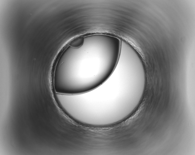 X0000096430942200801241021