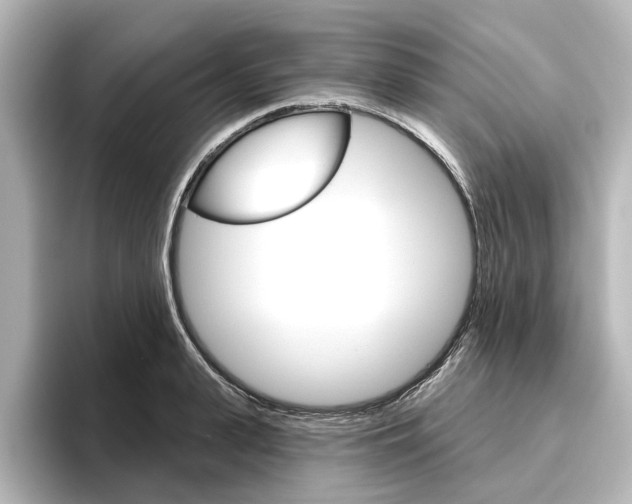 X0000096430943200801241021