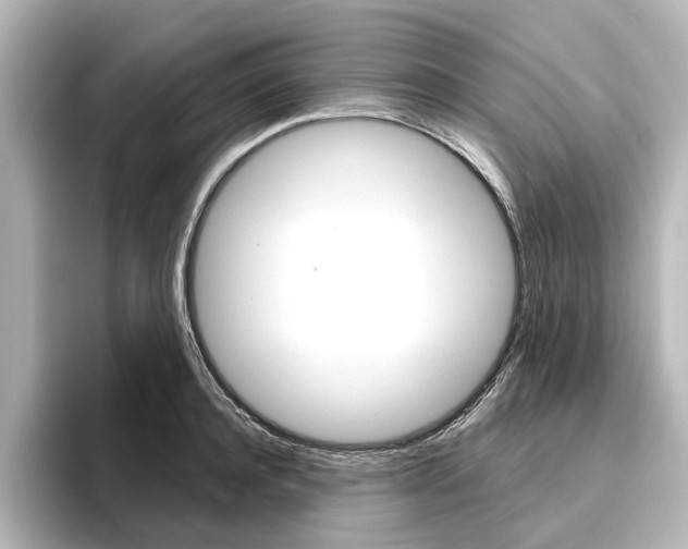 X0000096430944200801241021