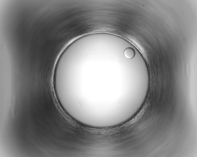 X0000096430948200801241021