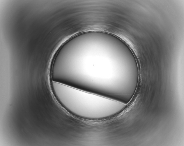 X0000096430949200801241021