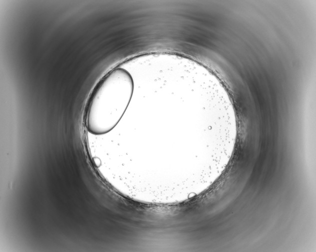 X0000096430950200801241021