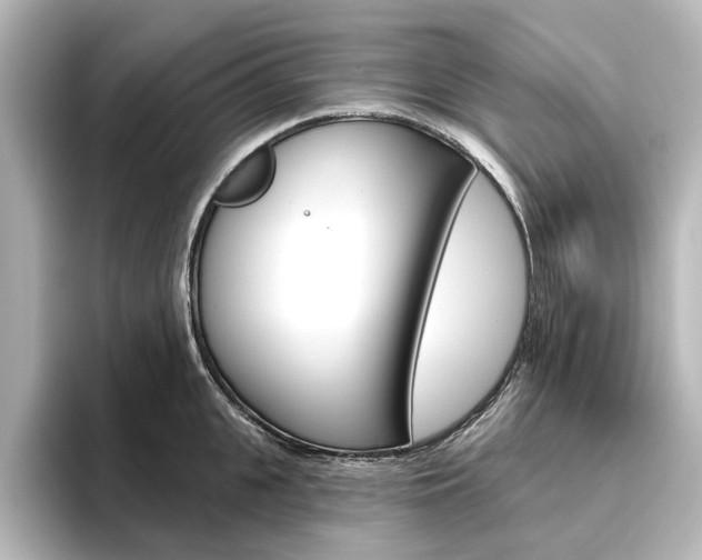 X0000096430951200801241021