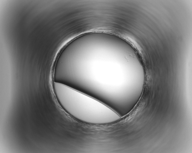 X0000096430952200801241021