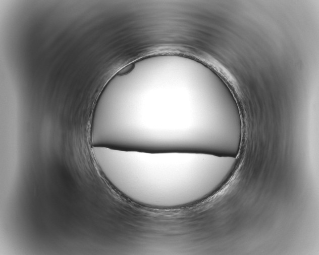 X0000096430953200801241021