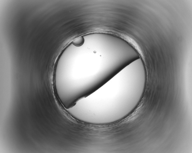 X0000096430954200801241021