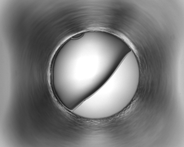 X0000096430955200801241021