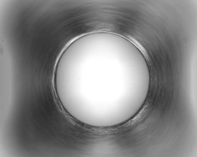 X0000096430956200801241021
