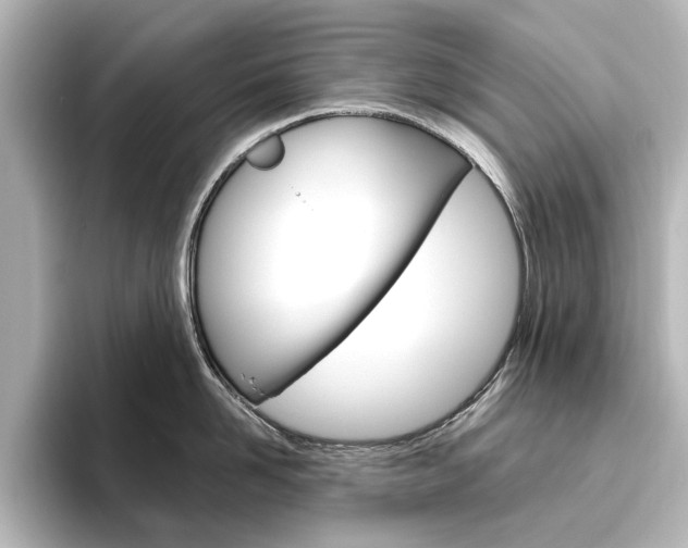 X0000096430958200801241021