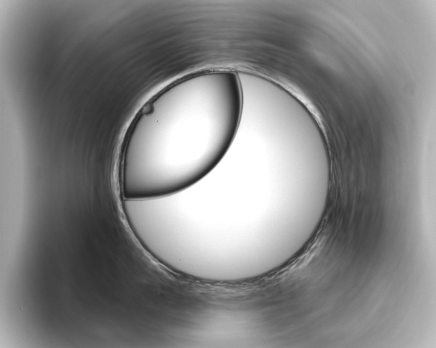 X0000096430959200801241021