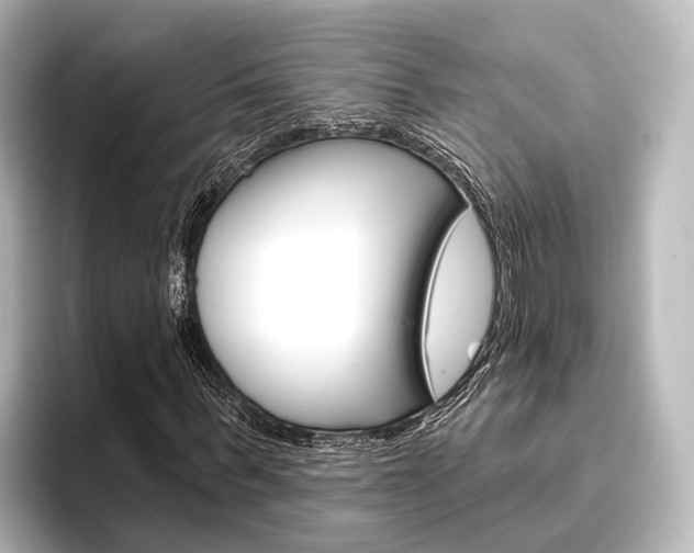 X0000096430963200801241020