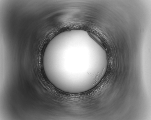 X0000096430964200801241020