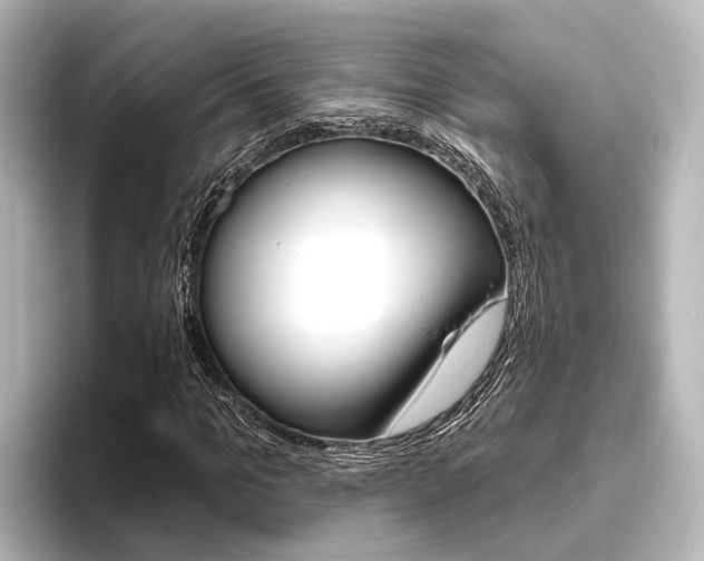 X0000096430965200801241020
