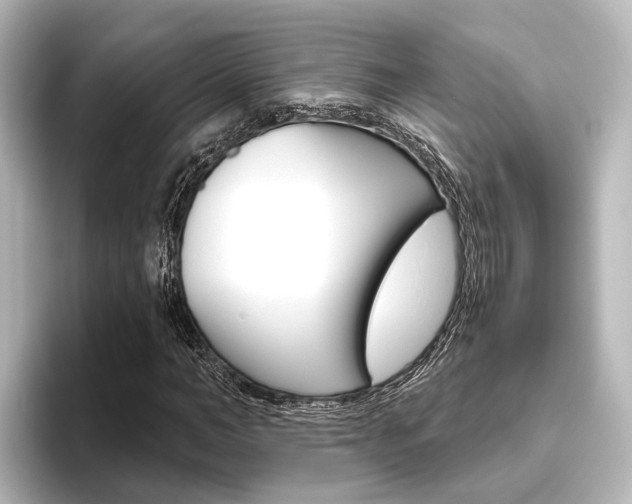 X0000096430966200801241020