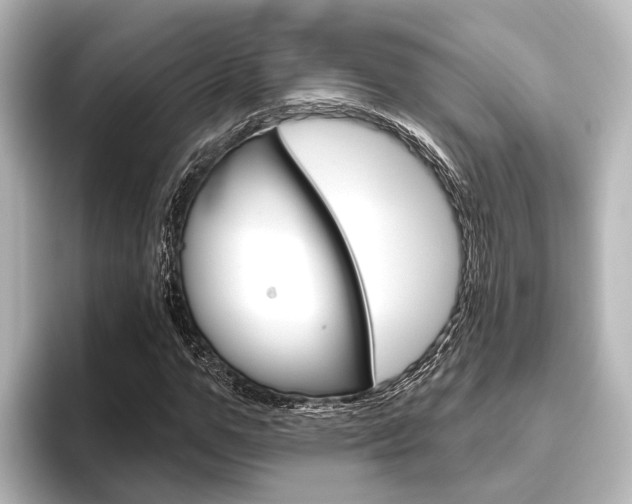 X0000096430967200801241020