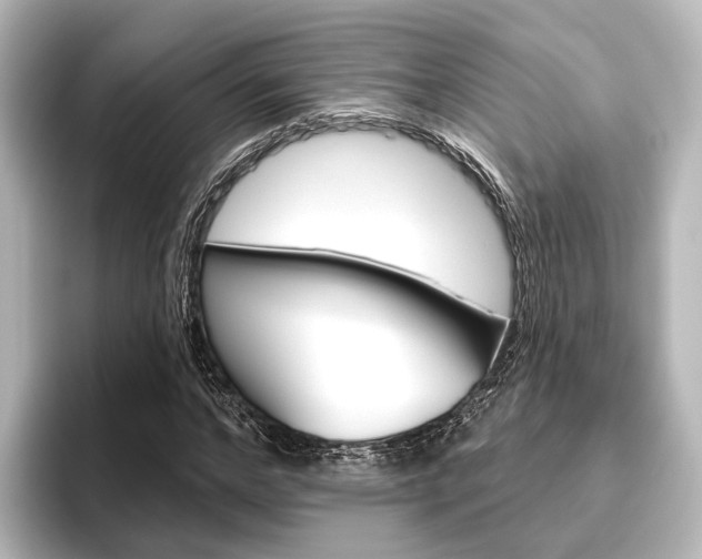 X0000096430968200801241020