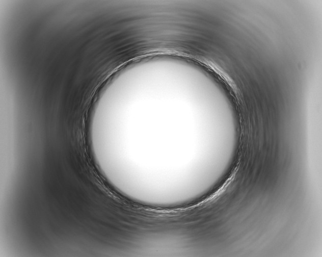 X0000096430969200801241020