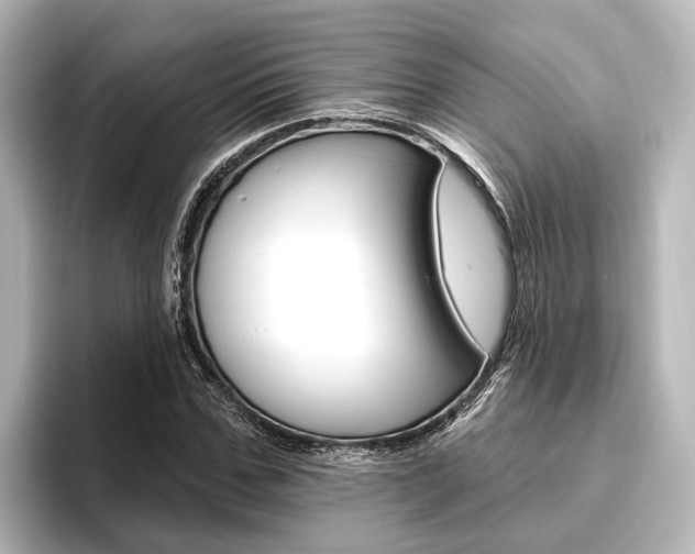 X0000096430971200801241020