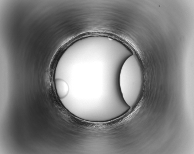 X0000096430974200801241020
