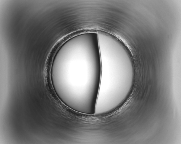 X0000096430975200801241020