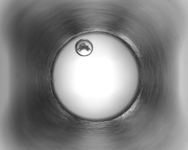 X0000096430977200801241020